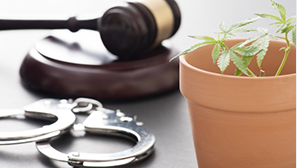 刑事事件